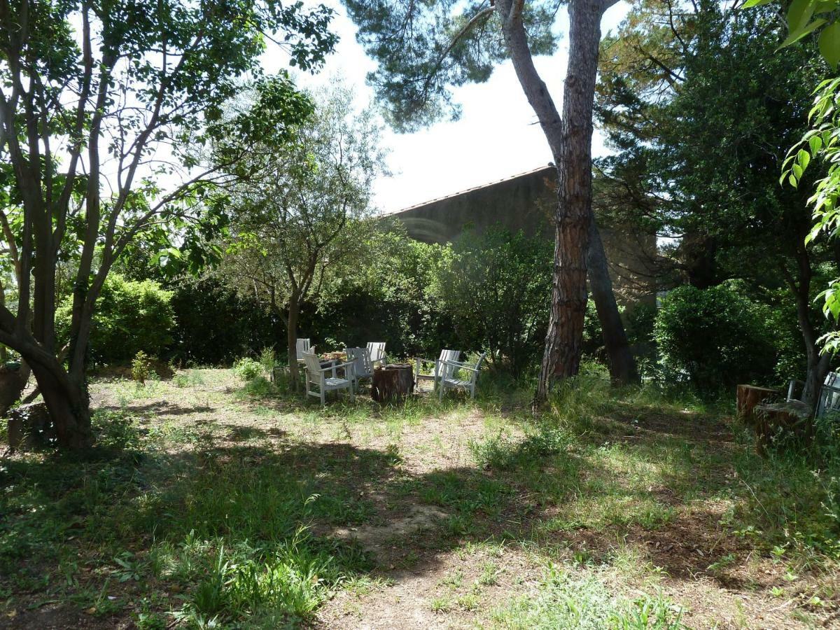 Maison Butterfly Bed and Breakfast Puissalicon Esterno foto